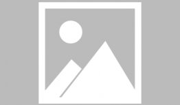 妖神记动漫,奇幻世界中的命运交织与冒险传奇