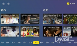 能看的视频,精选视频内容概览